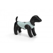 Honden T-shirt, Star Honden T-shirt, Star